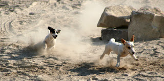 Top speed Top speed