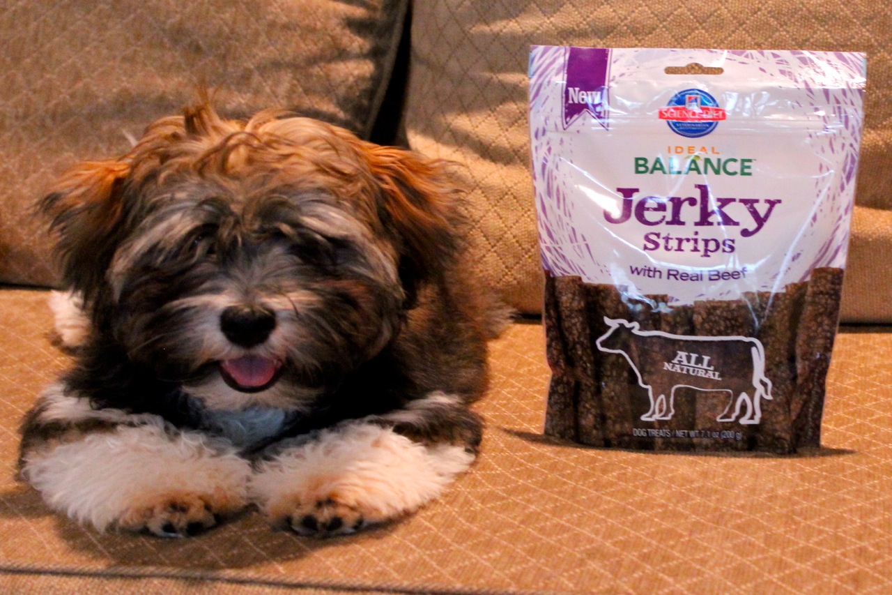 To Dog With Love Do You Trust Your Chicken Jerky Dog Treats?