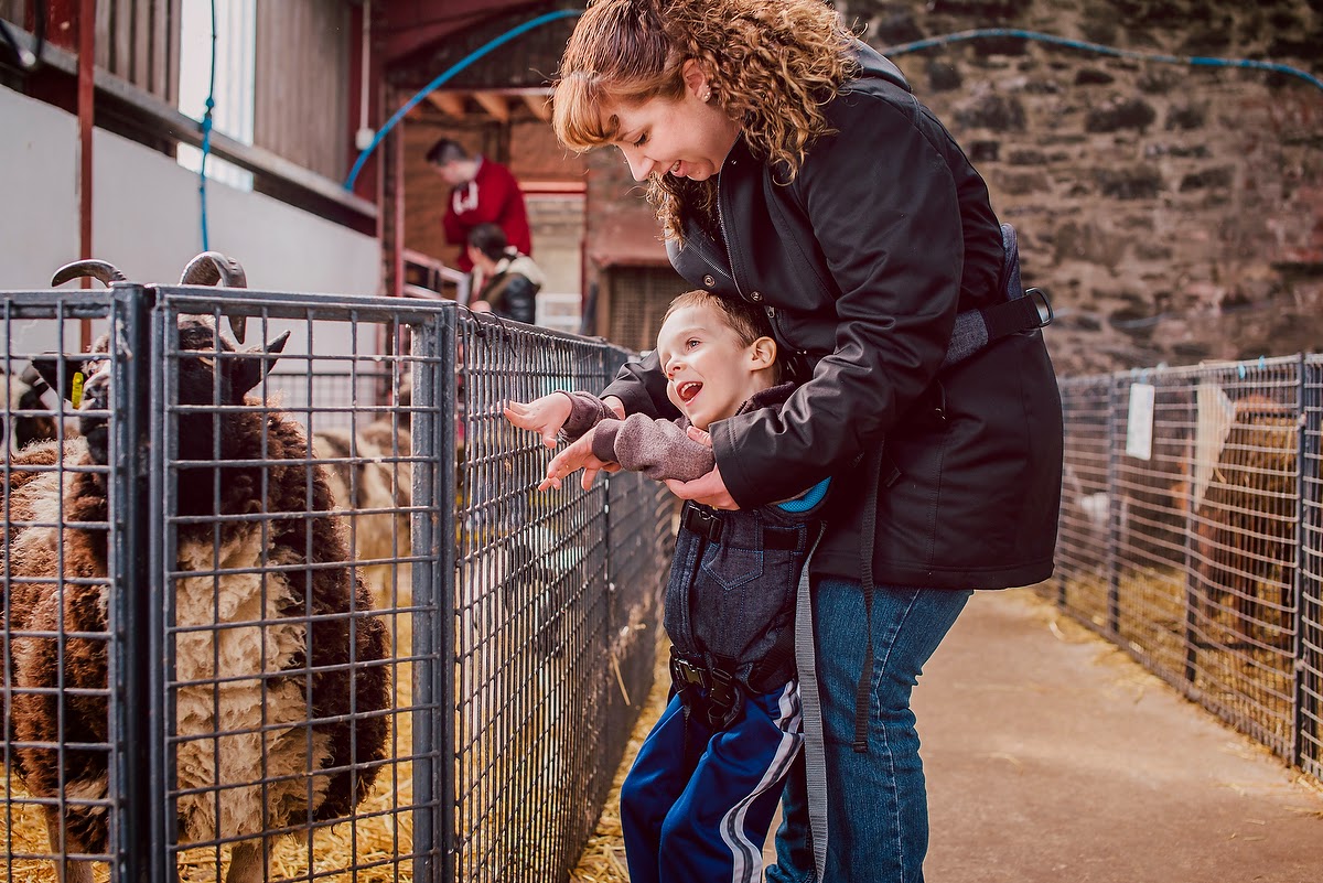 Noah's Miracle Noah's Ark The Petting Zoo in Ireland