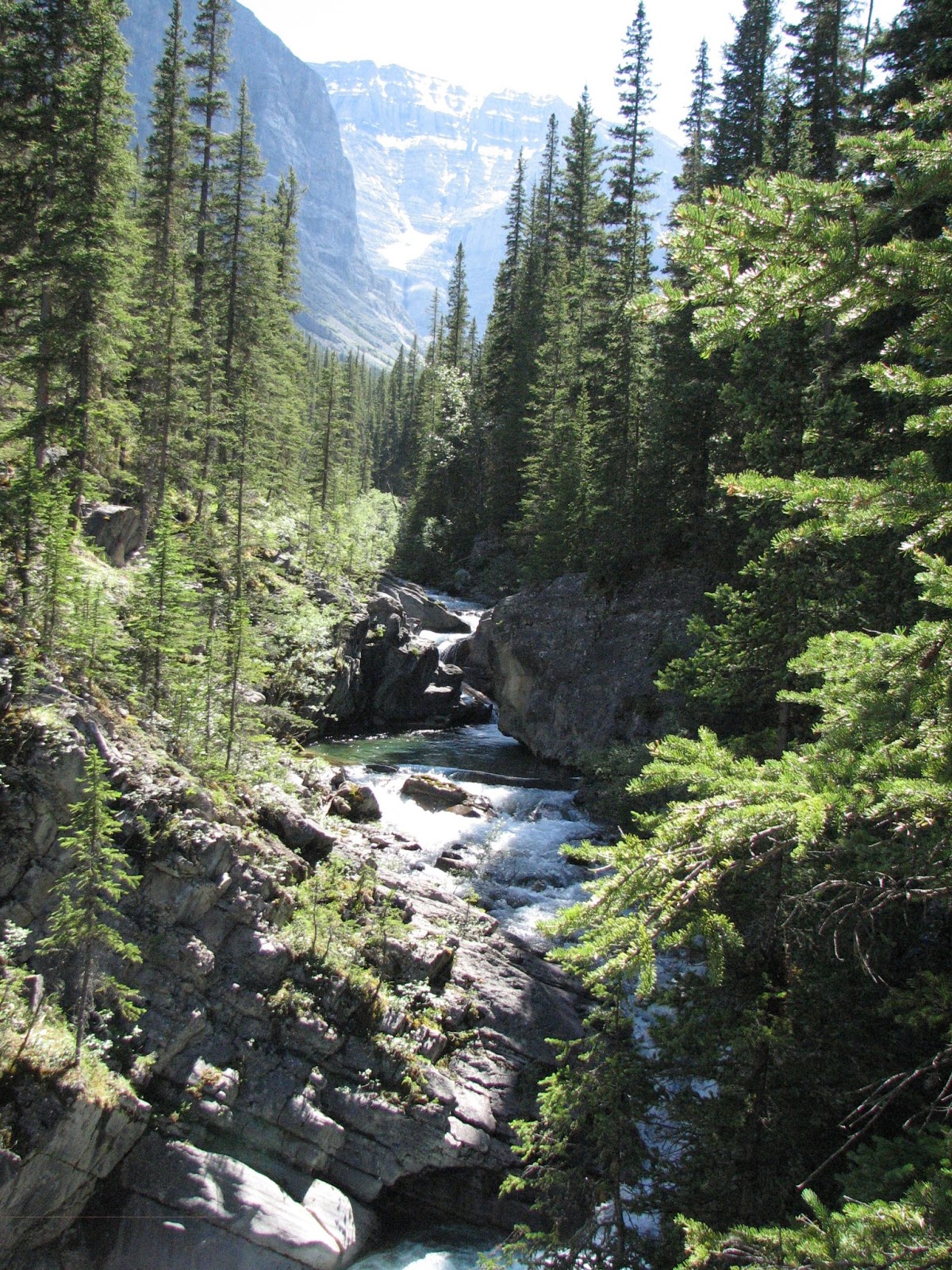 Get Me Outdoors Ribbon Creek & Ribbon Falls