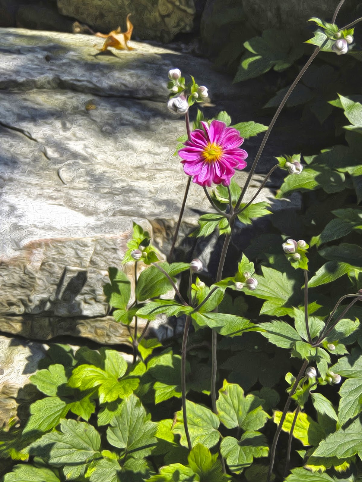 Monday Morning Motivation from "Fearless" by Max Lucado