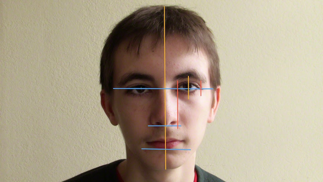 Earnest Ward Drawn to Life Back to Basics Facial Anatomy