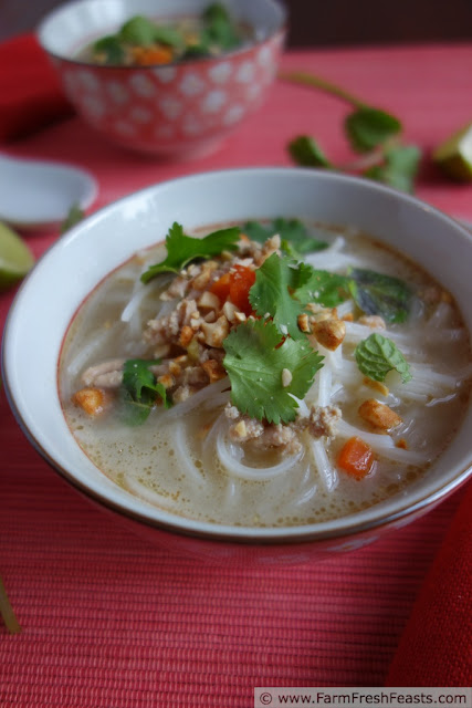 Thai Inspired Creamy Chicken Noodle soup (dairy and gluten free)