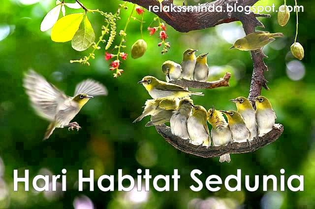 Sambutan Hari Habitat Sedunia World Habitat Day Relaks Minda