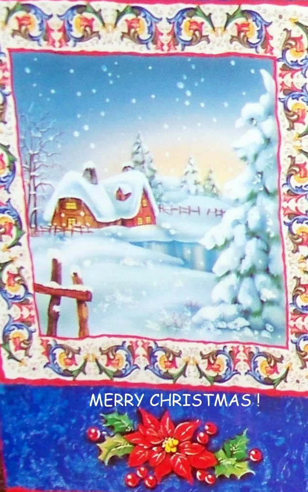 A Lady's Life&hellip;: MERRY CHRISTMAS