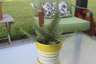 rosemary