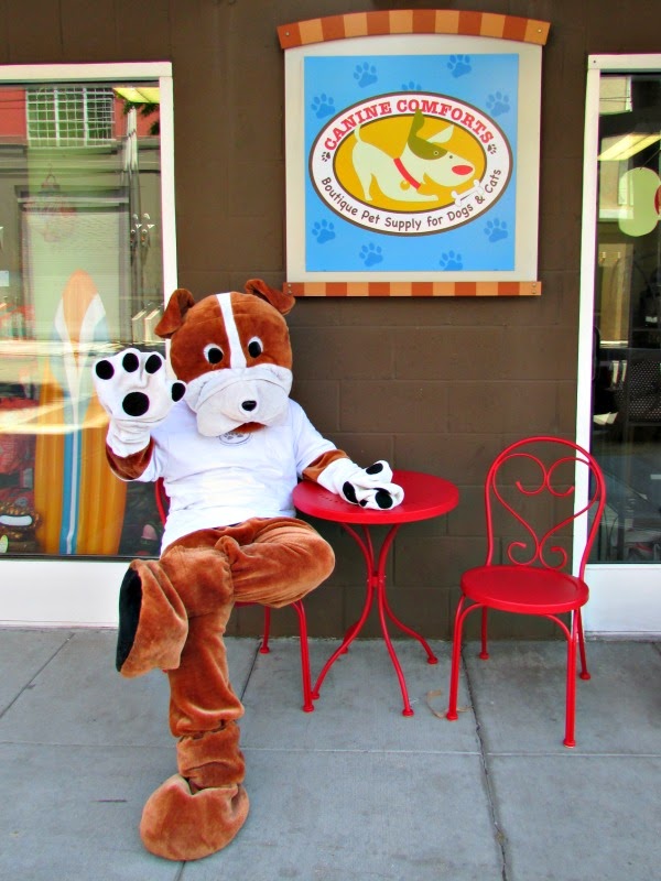 Canine Comforts Oakland // Cosmo in Front of the Store Canine Comforts Oakland // Cosmo in Front of the Store
