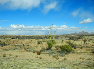 Views off of I-10 in New Mexico