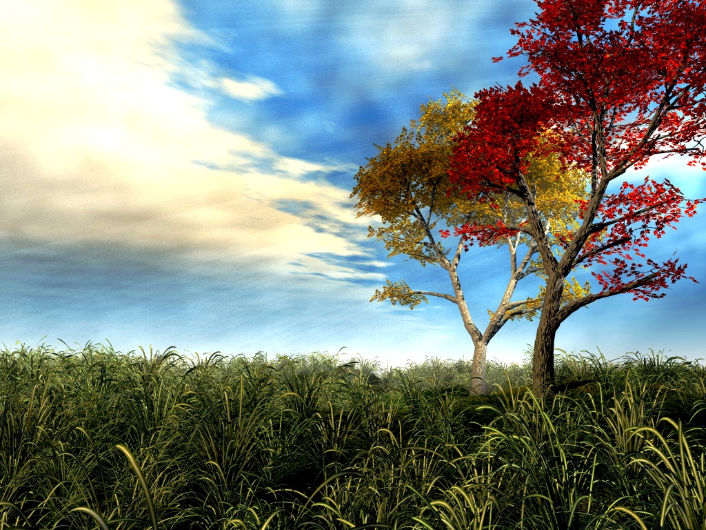 3d Wallpapers Trees 3d tree wallpaper free 3d wallpaper 3d Wallpapers Trees 3d tree wallpaper free 3d wallpaper