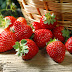 Why You Should Eat Strawberries Every Day?