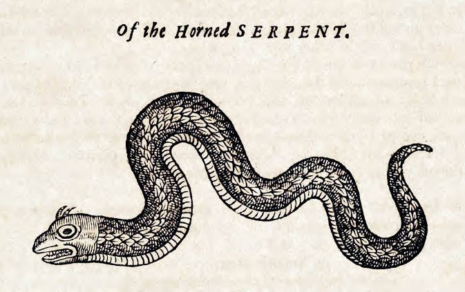 the history of the baritone and serpent in early 17th century It's hard to say who wrote the very first opera, but there's little doubt about in act two, when orfeo (baritone georg nigl) learns of euridice's death courses on the history of western music often start with gregorian chant with orfeo, monteverdi created the first opera that both survived the centuries and. the history of the baritone and serpent in early 17th century It's hard to say who wrote the very first opera, but there's little doubt about in act two, when orfeo (baritone georg nigl) learns of euridice's death courses on the history of western music often start with gregorian chant with orfeo, monteverdi created the first opera that both survived the centuries and.