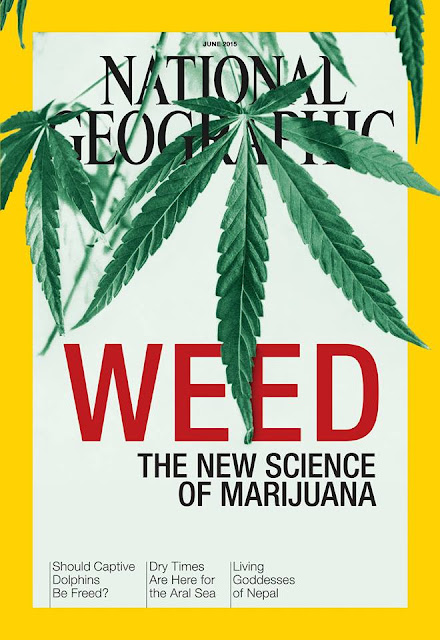 WEED THE NEW SCIENCE OF MARIJUANA | NATIONAL GEOGRAPHIC WEED THE NEW SCIENCE OF MARIJUANA | NATIONAL GEOGRAPHIC