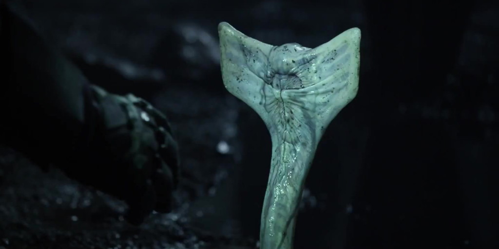 Troy's Bucket Prometheus