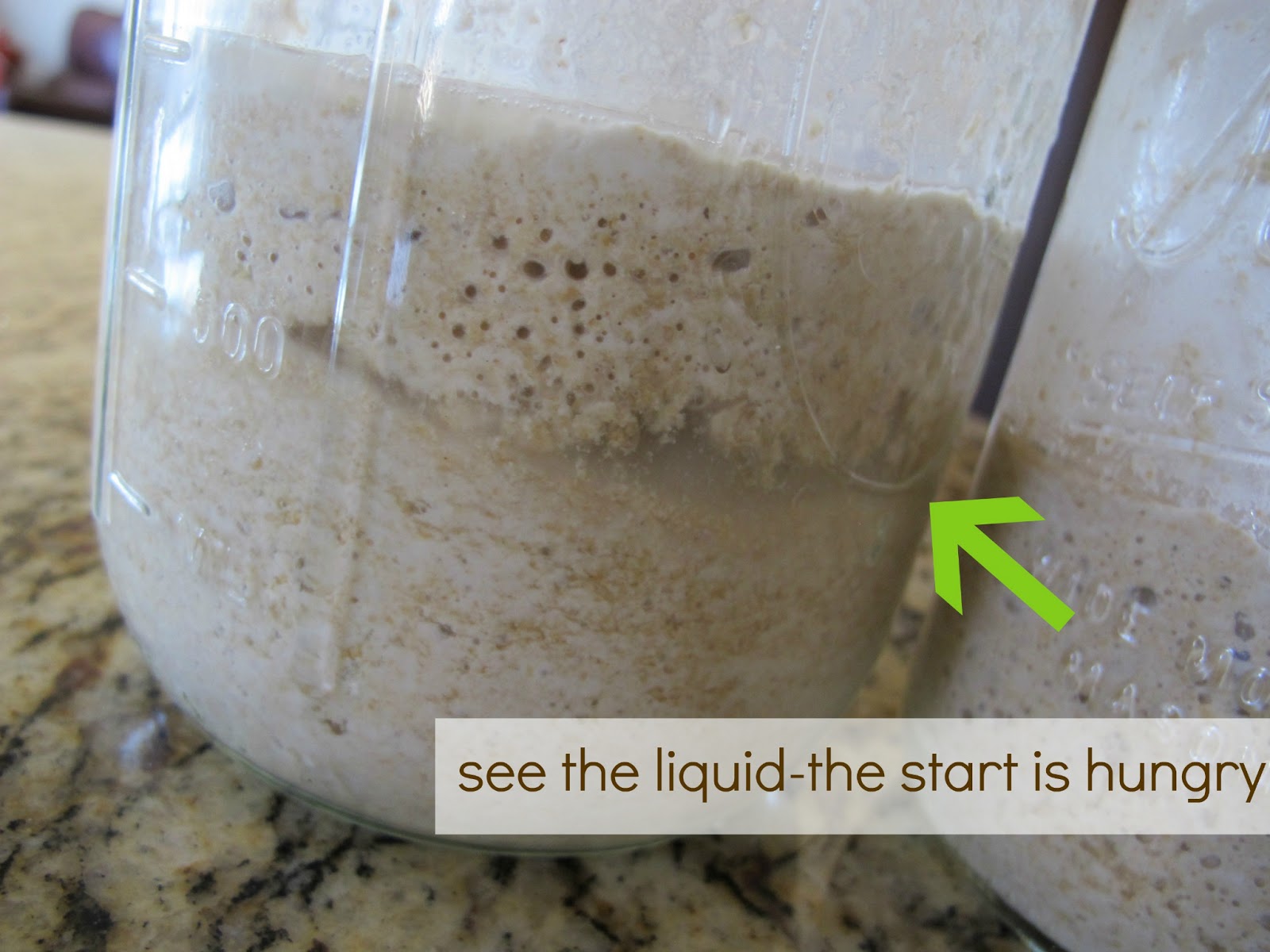 Simple. Healthy. Tasty Natural Yeast Starter, aka {Sourdough Start}