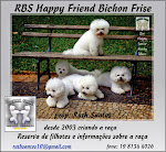 BICHON FRISE HAPPY FRIENDS