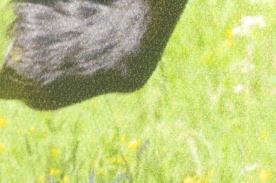 Test: Foto op canvas © Hypo Focus Test: Foto op canvas © Hypo Focus