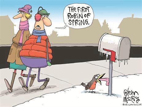 funny-first-robin-spring-cartoon.jpg