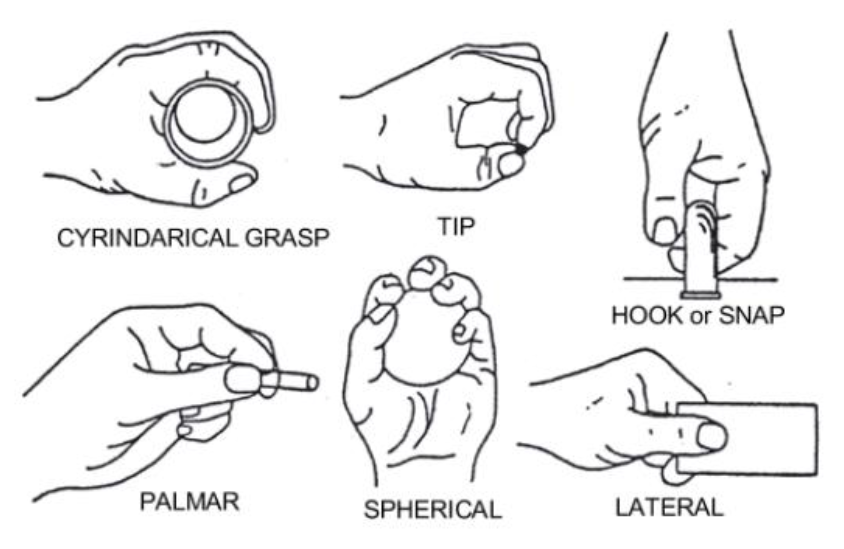 Types Of Grasps Occupational Therapy Pictures to Pin on Pinterest