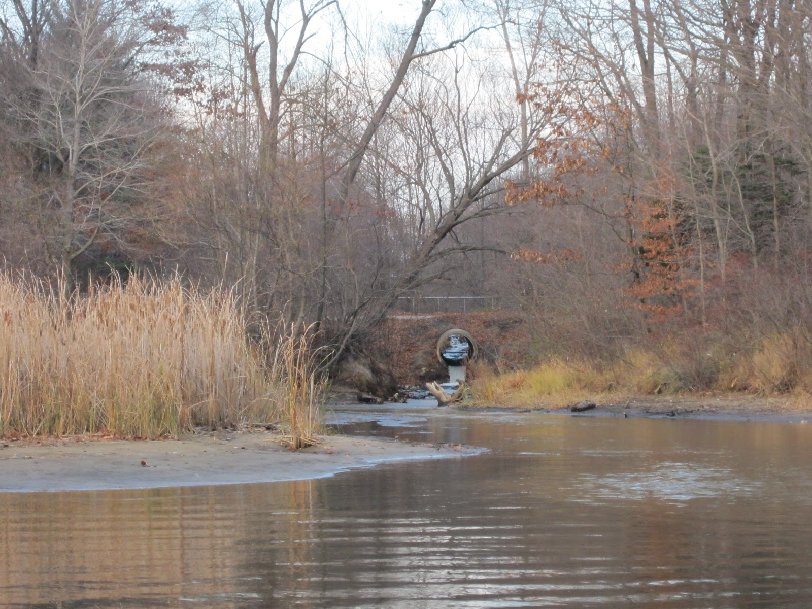 The Adventures of Little FIsh Pigeon Lake, Lake Michigan, and Pigeon Creek