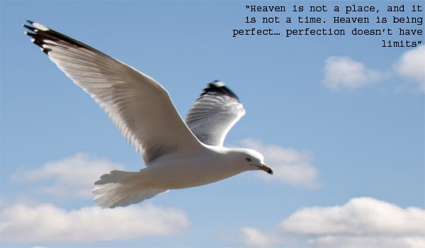Jonathan Livingston Seagull Quotes. QuotesGram