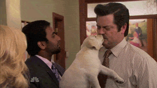 ron-swanson-puppy.gif