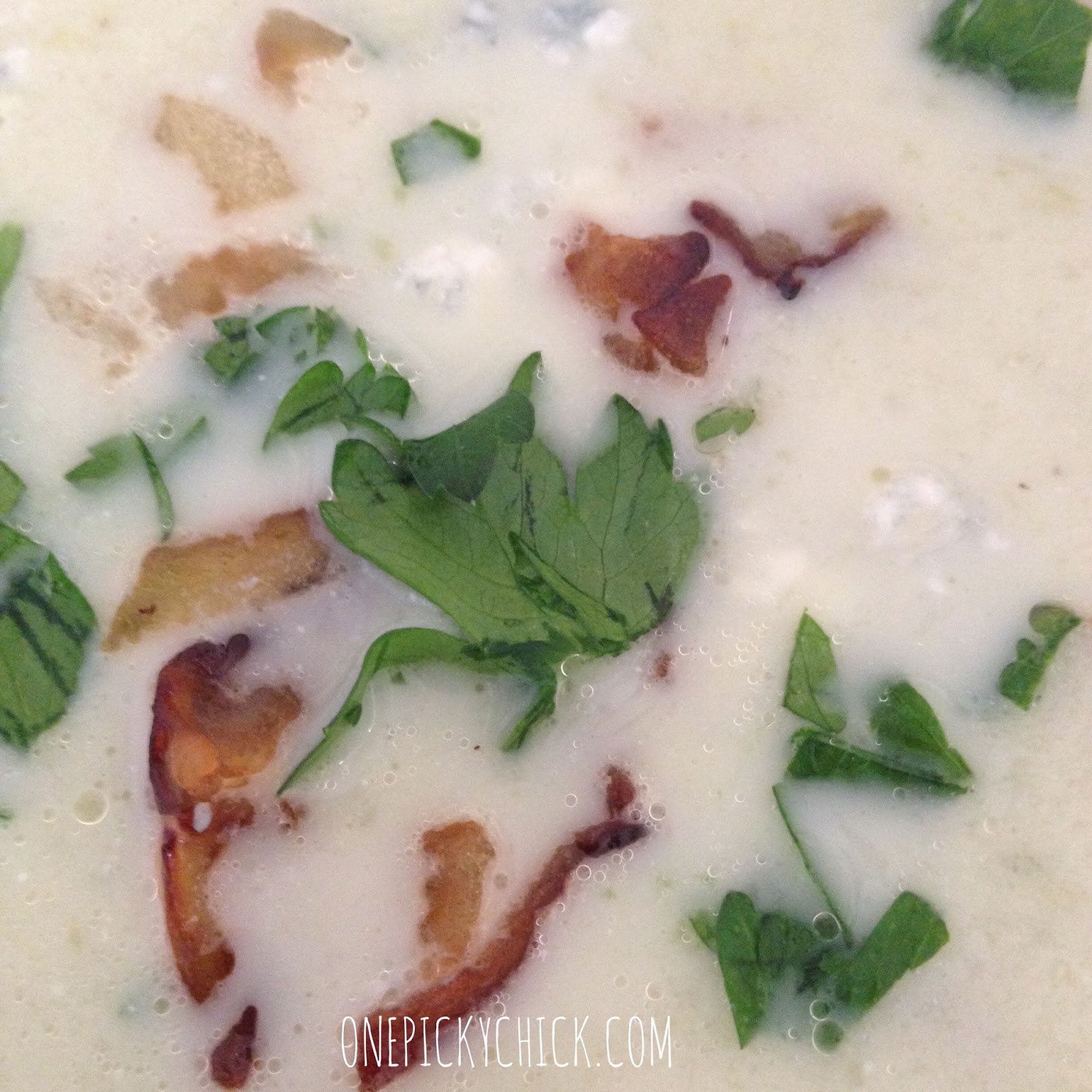 The BEST Homemade Soup in the world! | One Picky Chick