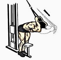 Sos un palo y te cuesta hacer volumen en el GYM? pasá capo Sos un palo y te cuesta hacer volumen en el GYM? pasá capo