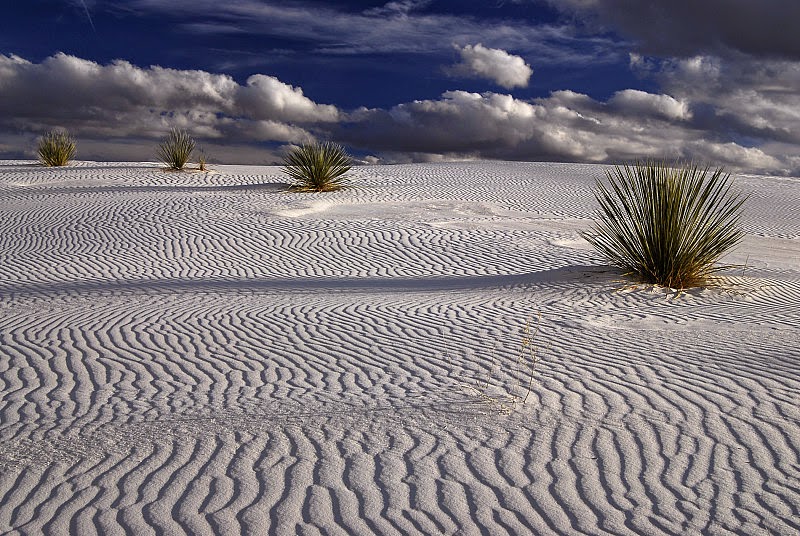 THE WHITE DESERT