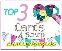 Cards en Scrap Uitdaging 180 top 3!