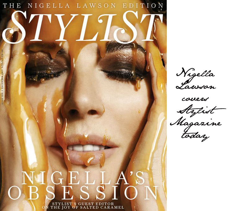 Nigella Lawson covers Stylist Magazine