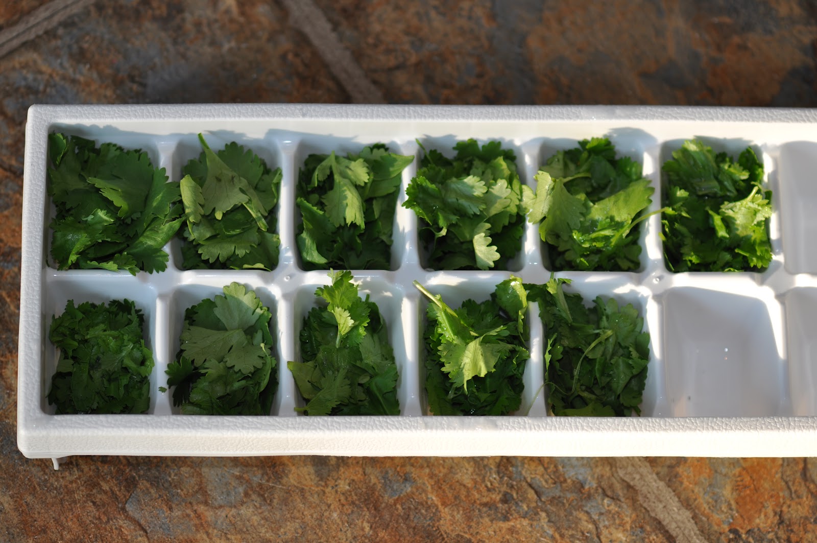365 Days of DIY Cilantro Ice Cubes & Heart Stick Coaster