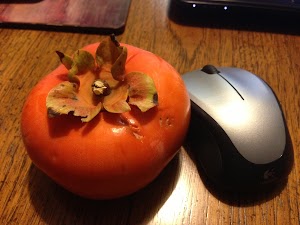 Last of the Pick:  Fuyu Persimmons From Our Tree