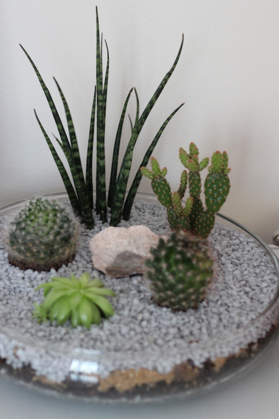 Five Minute Style: An Indoor Garden