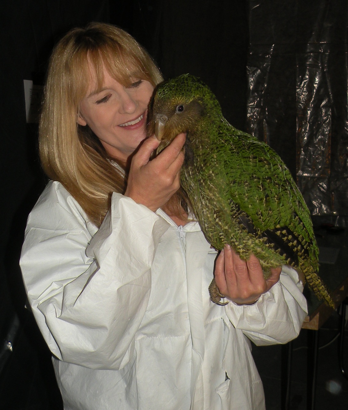 Kakapo Baby