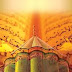 MESNEVİ’DEN BİR KESİT