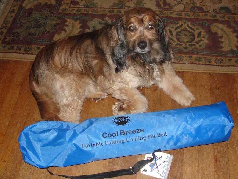 K H Cool Breeze Portable Dog Bed K H Cool Breeze Portable Dog Bed