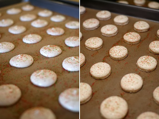 french macarons w step by step photos shelly in real life macaron sheet