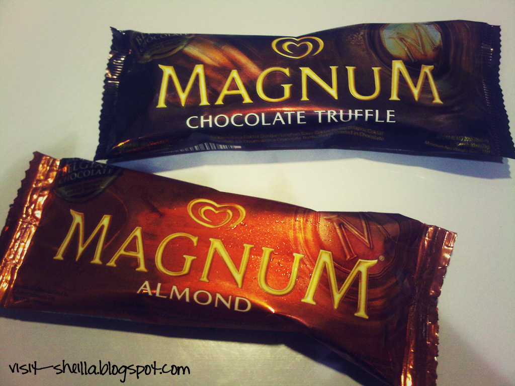 Chubby Blog Magnum Ice Cream