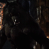 tumblr_n0u66zel3D1ryf2bdo2_r1_250.gif