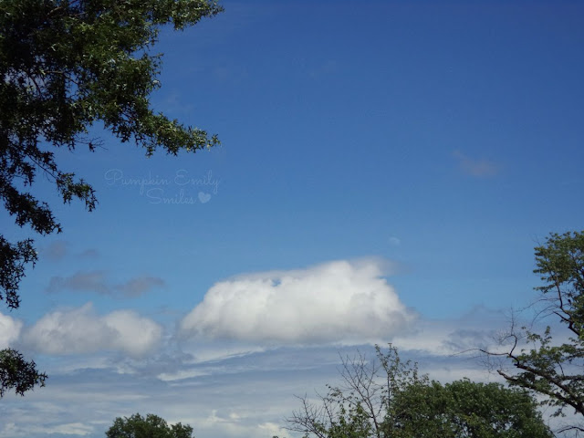 Clouds that looks like a pig