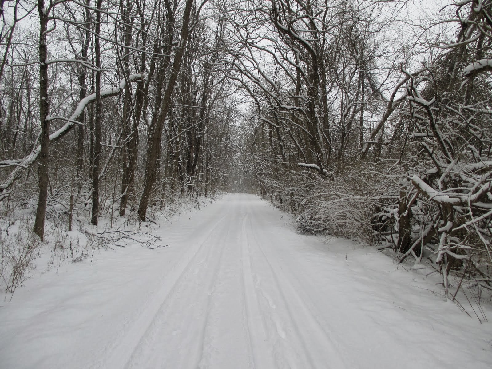 A snowy trail in Glen Helen