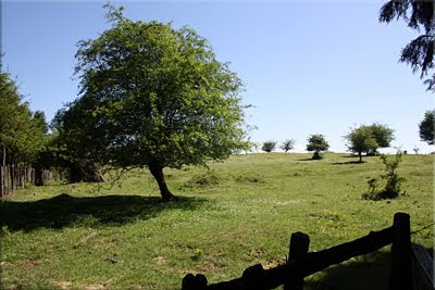 Paso de alambrada