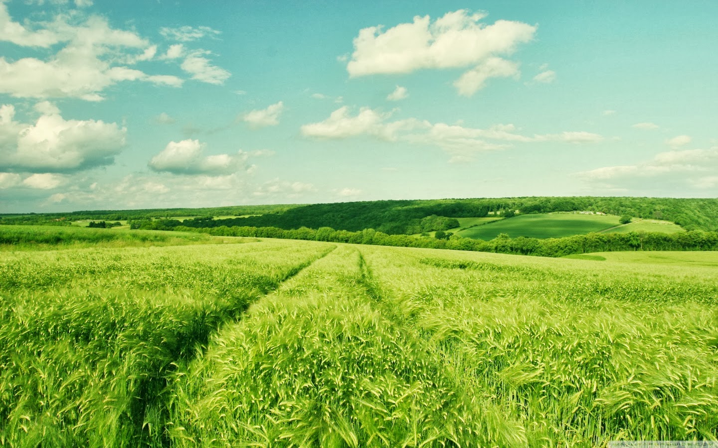 Beautiful Field Wallpapers Most beautiful places in the world Download Free Wallpapers