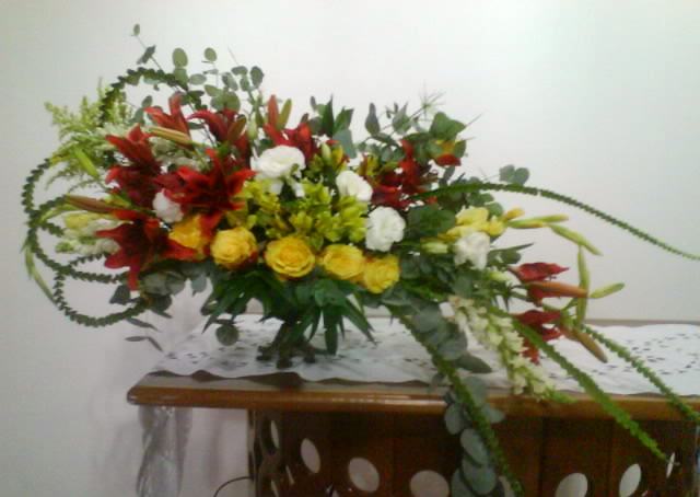flores jardim camburi:Divina Flor!: O Brasil está florido! flores jardim camburi:Divina Flor!: O Brasil está florido!