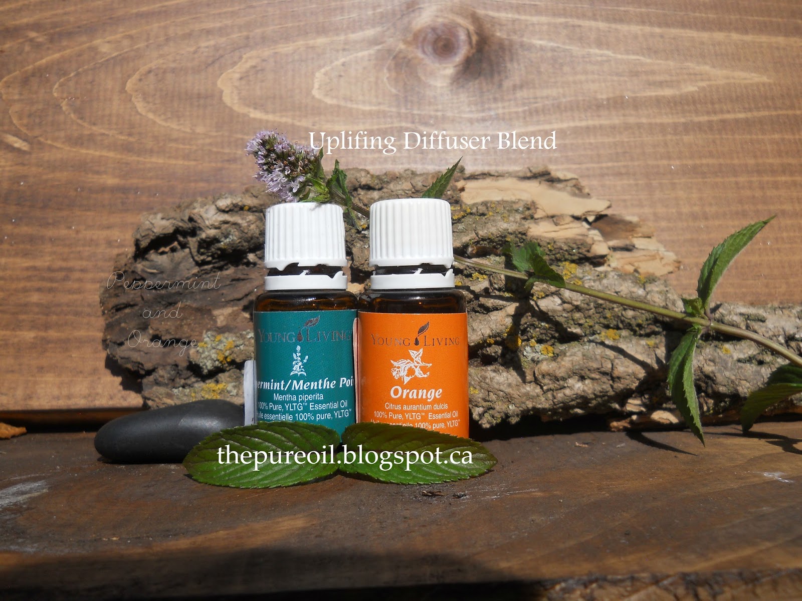 ThePureOil Peppermint and Orange