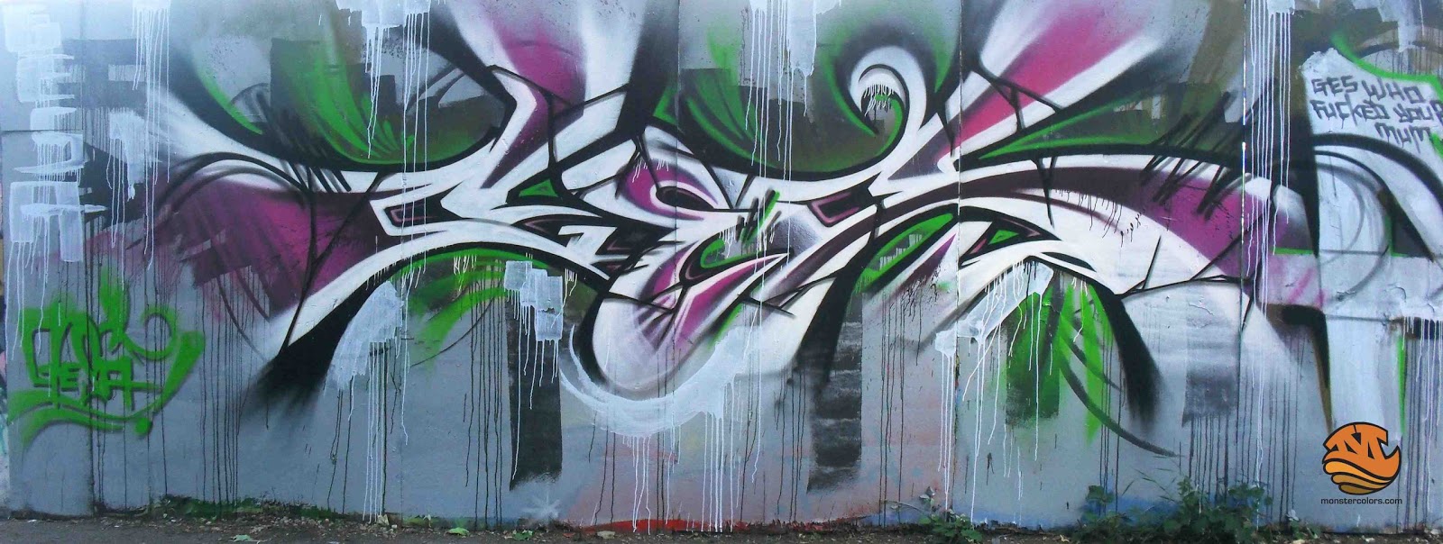 Columbia Spy Vandals Spray Paint Graffiti On Garage Door