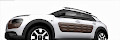 C4 Cactus