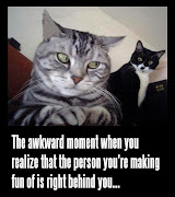 . as Grumpy Cat. Memes based on this cat's wonderful face are plentiful. grumpy cat meme had fun once