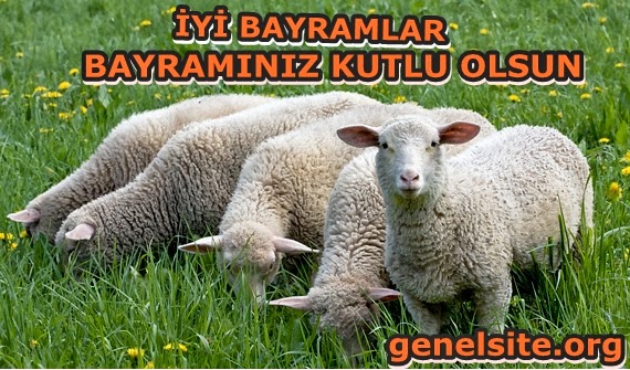 Bayramınız kutlu olsun Bayraminiz kutlu olsun