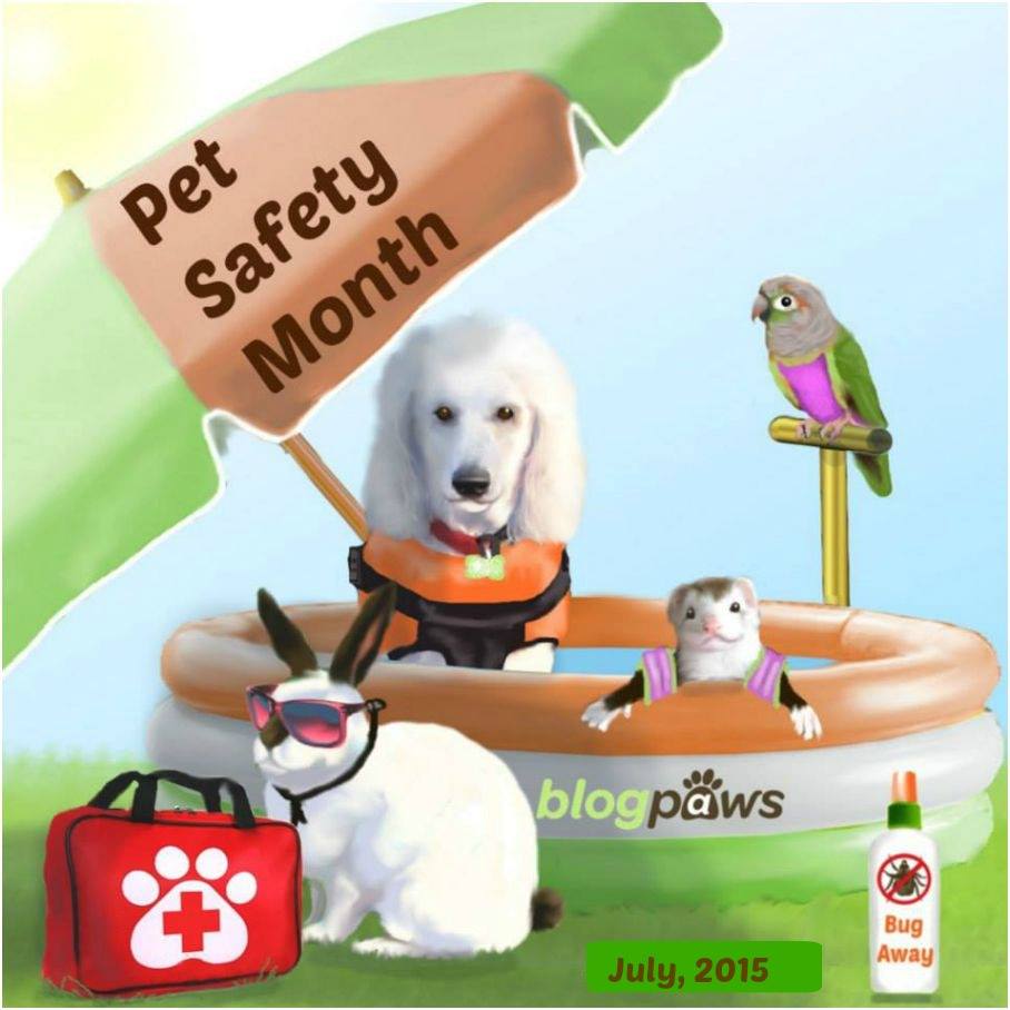 Pet Safety Month- July 2015